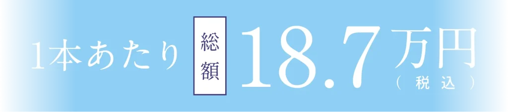 1本あたり18.7万円